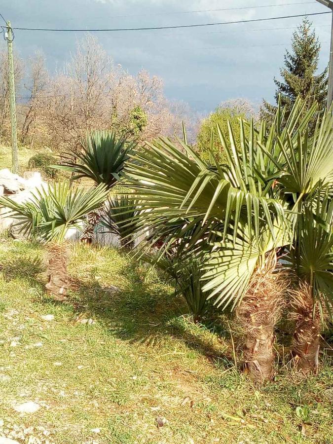 Sùšanj Opatija